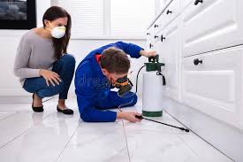 Professional Pest Control in Northfield, OH